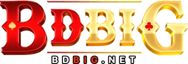 bdbig
